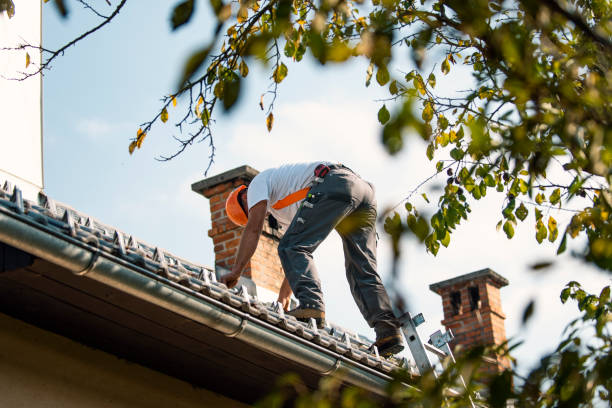 Best Roof Repair Estimates  in Marlette, MI