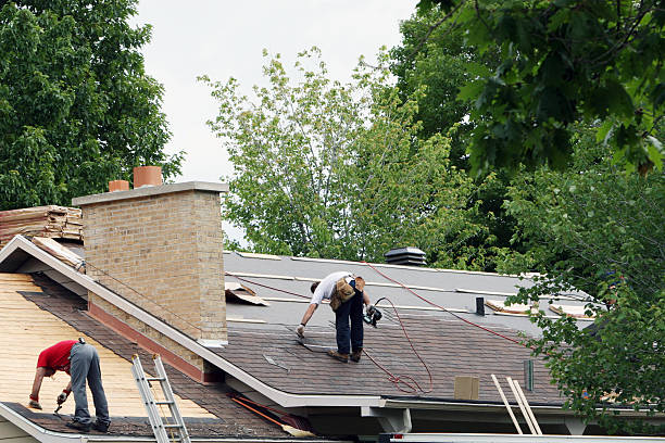 Best Roof Leak Repair  in Marlette, MI
