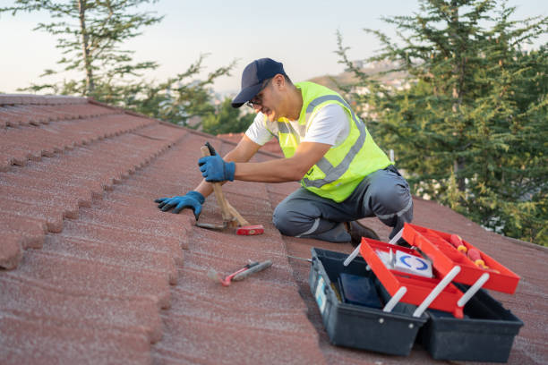 Best Gutter Installation and Roofing  in Marlette, MI
