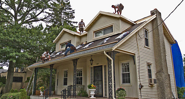 Best Best Roofing Contractors  in Marlette, MI