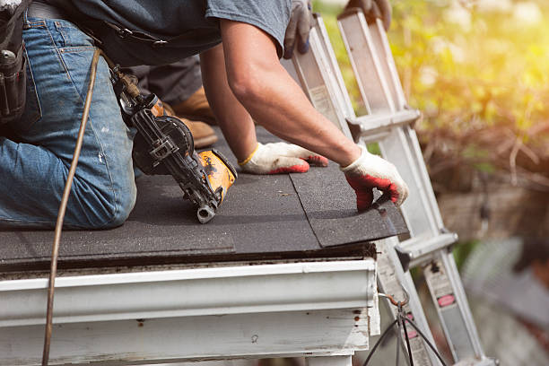 Best Roof Restoration Services  in Marlette, MI