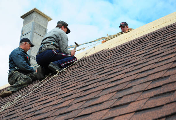 Best Roof Maintenance Services  in Marlette, MI