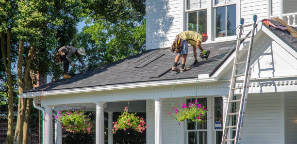 Best Shingle Roofing Installation  in Marlette, MI