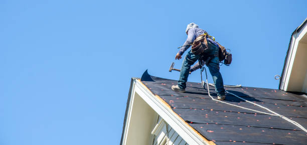 Best Roof Leak Repair  in Marlette, MI